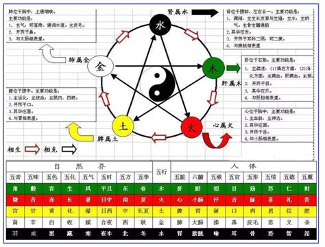 天干 顏色